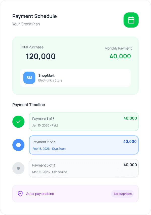 Payment Schedule illustration